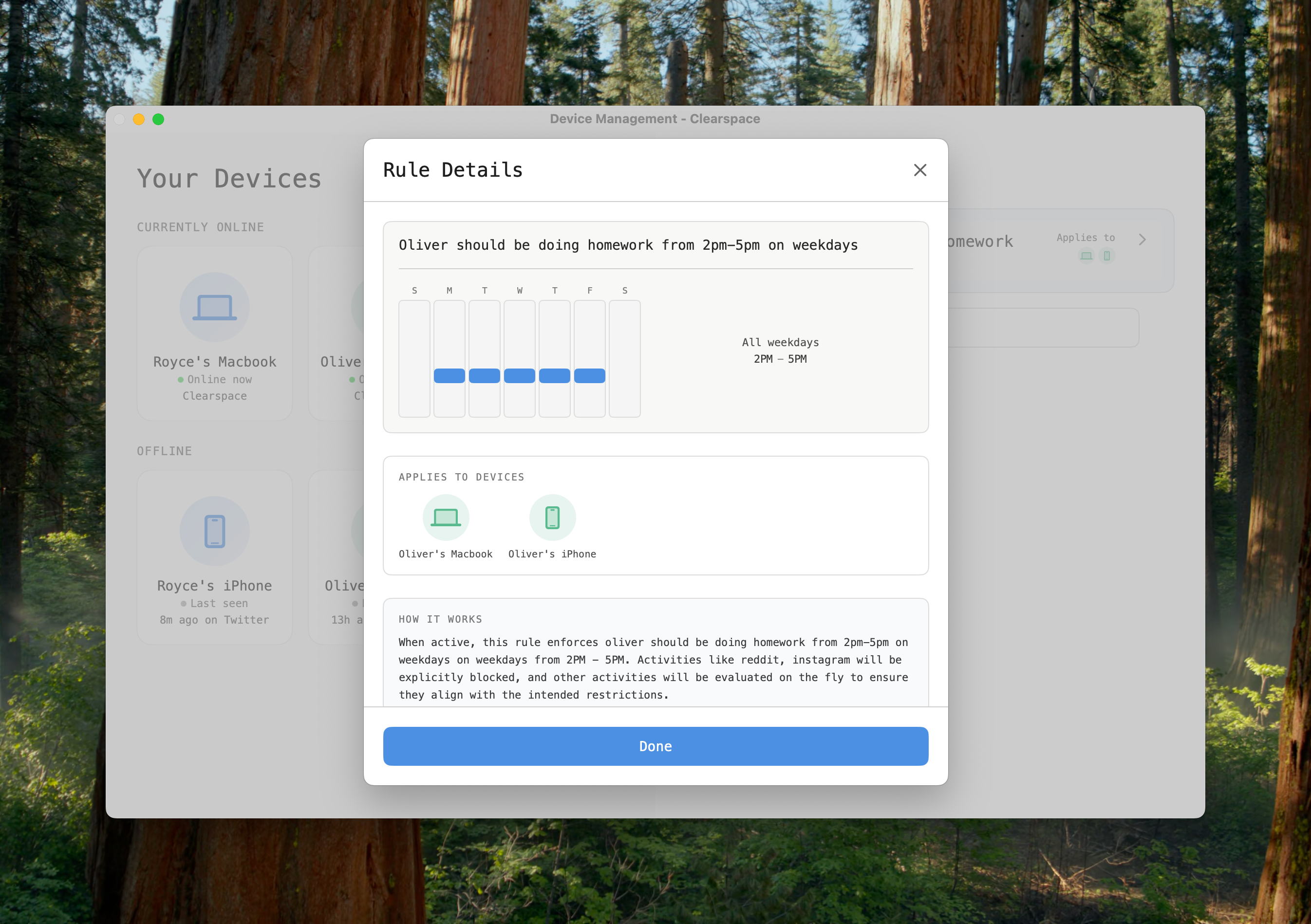 Natural language rules
